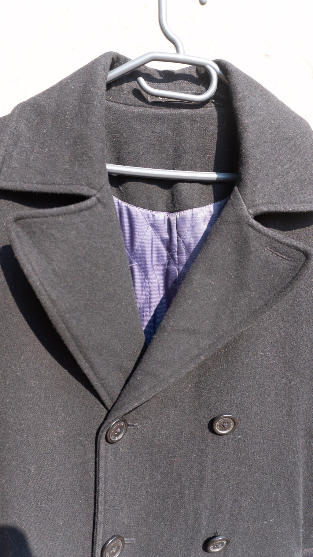 The Violet-Lined - C. Comberti
