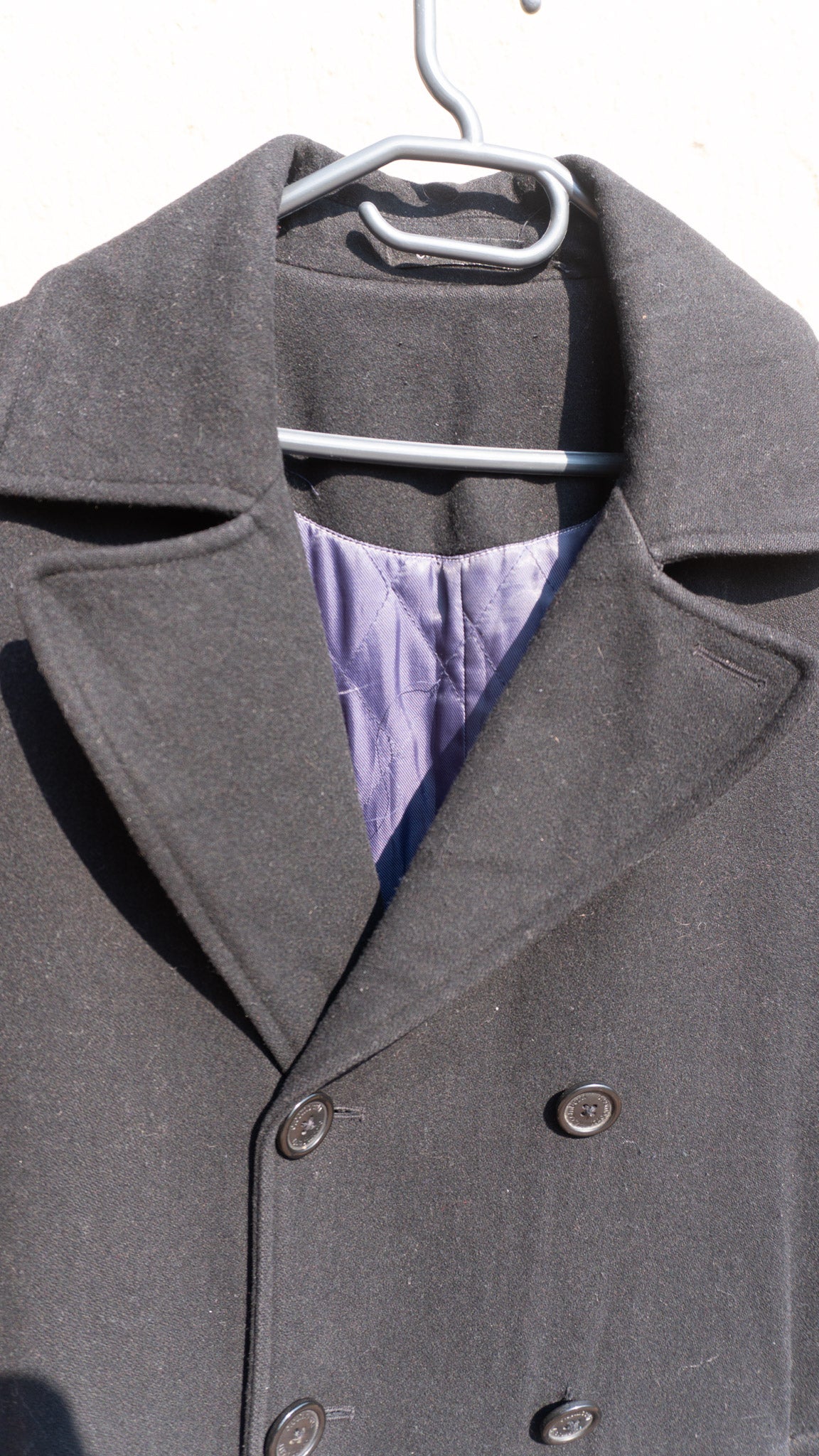 The Violet-Lined - C. Comberti
